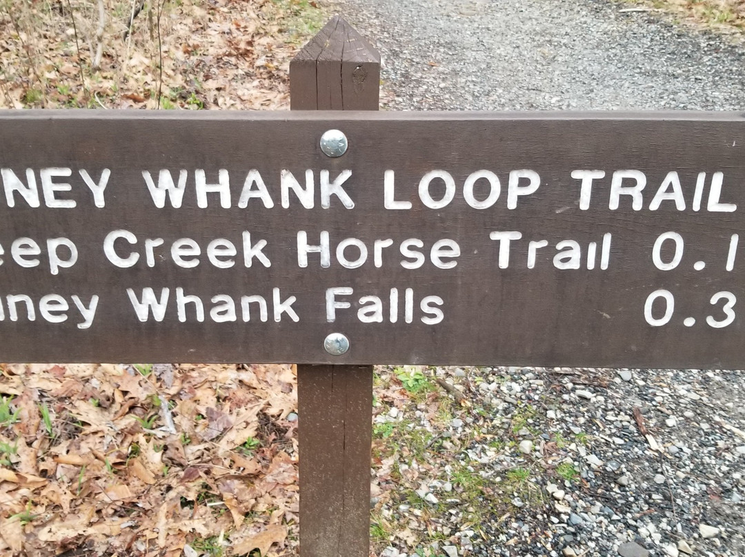 Juney Whank Falls-大雾山国家公园必去景点