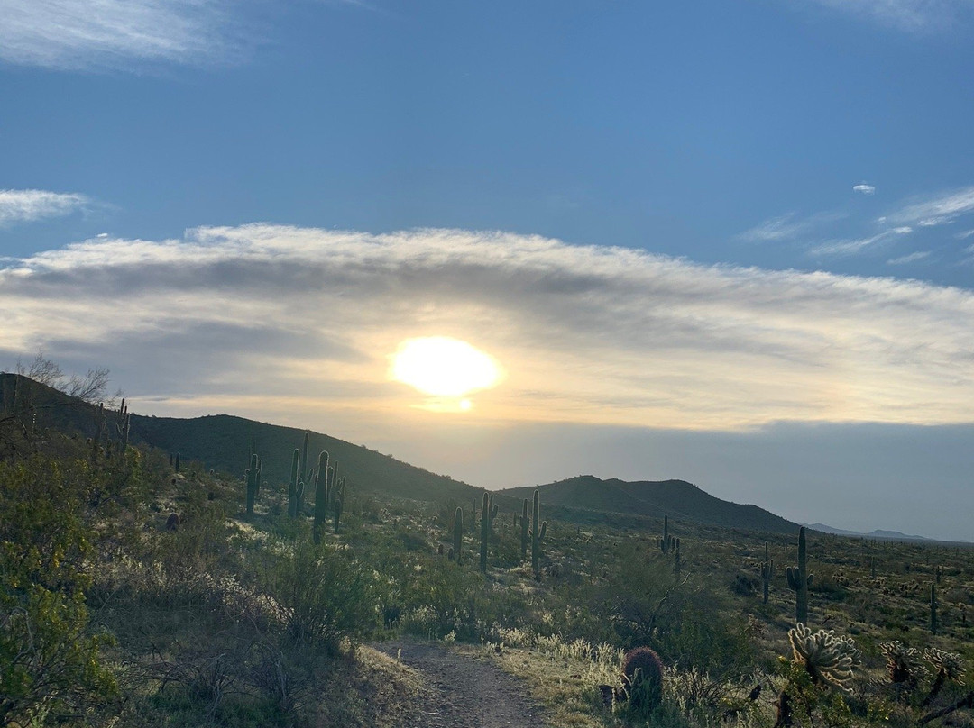 Phoenix Sonoran Desert Preserve景点图片