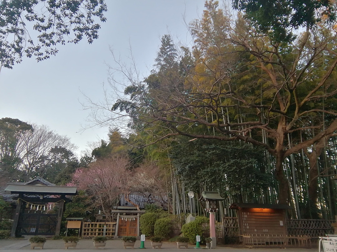 Omiya Hachiman-杉并区必去景点