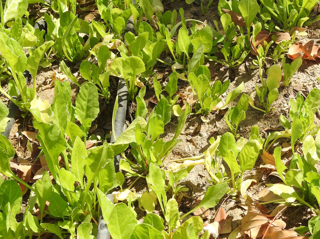 拉姆格尔港威酒店主图