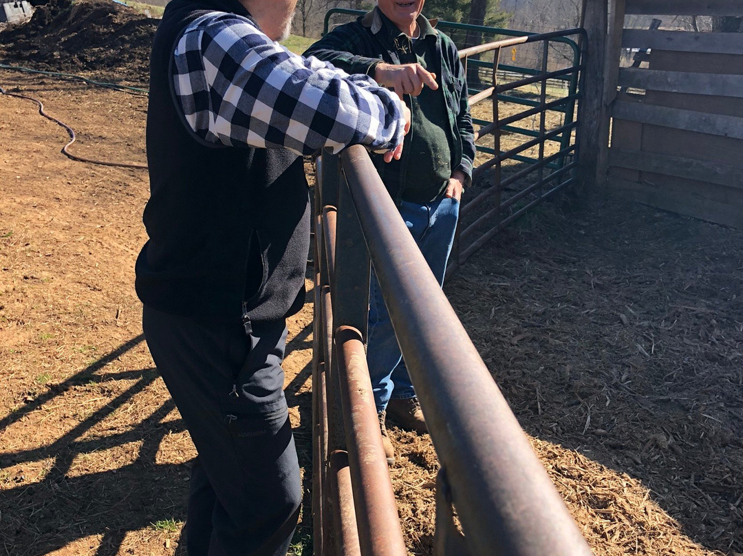 Belle Meade Bed and Breakfast主图