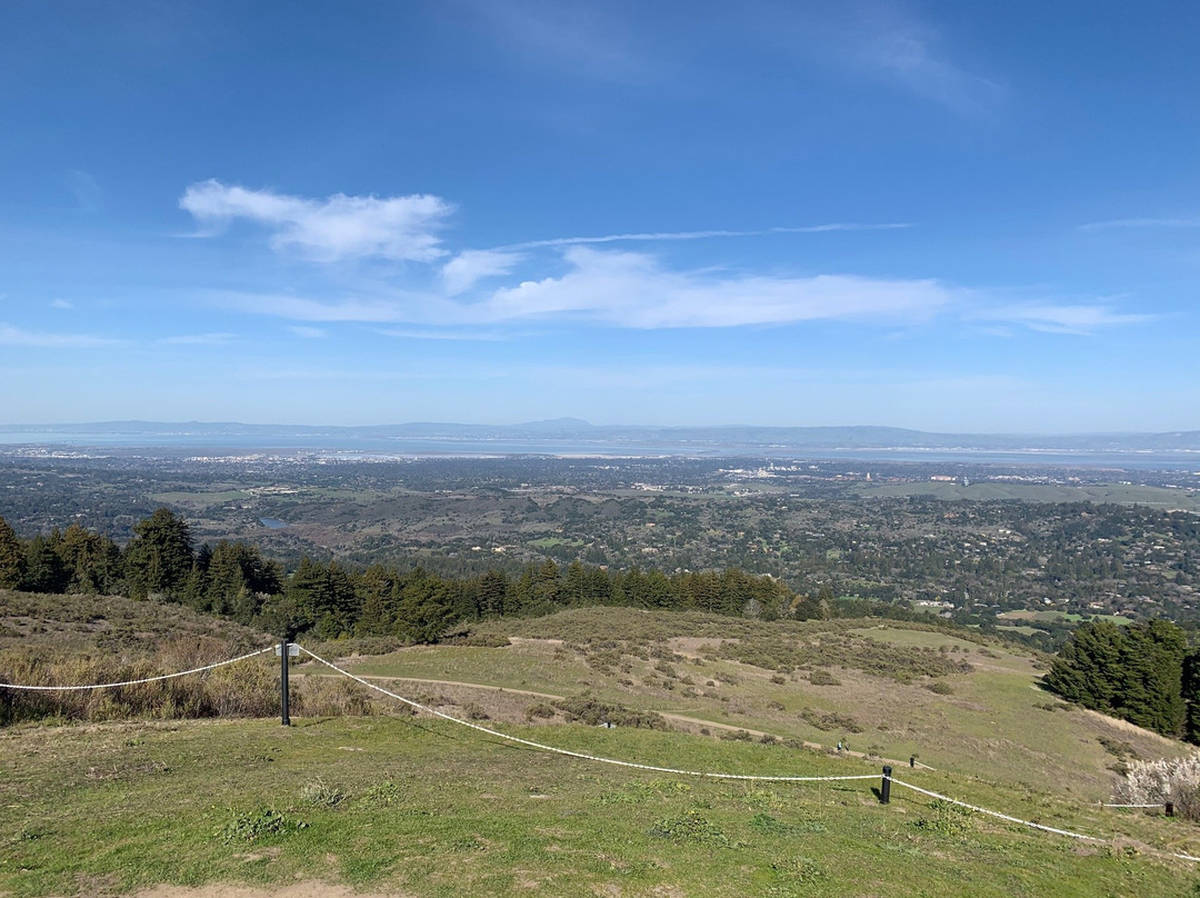 Windy Hill Open Space Preserve-洛思阿图斯必去景点