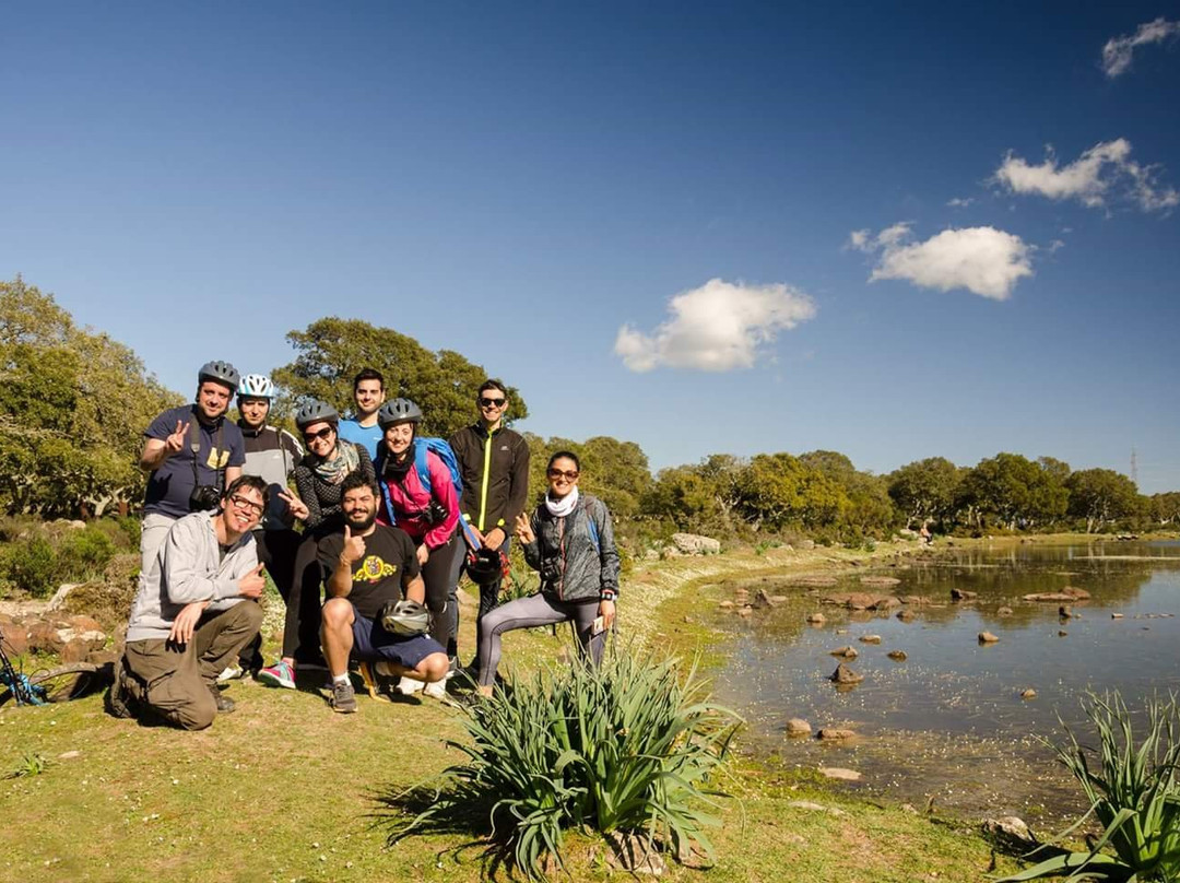Your Sardinia Experience-卡利亚里省必去景点
