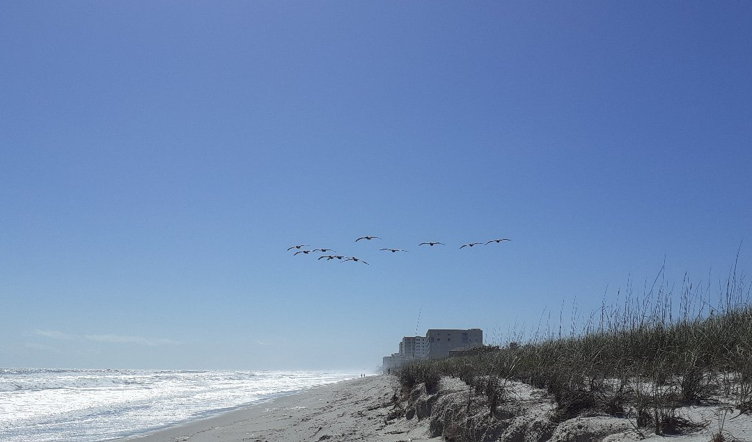 Hightower Beach Park景点图片