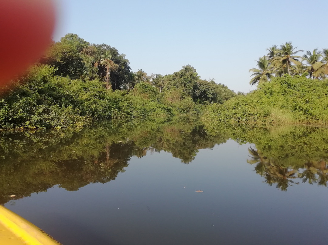 Go Kayak-雅高达必去景点