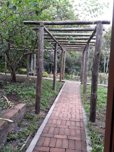 Morada das Bromelias-浴室