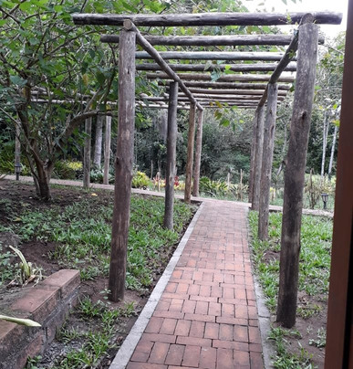 Morada das Bromelias主图