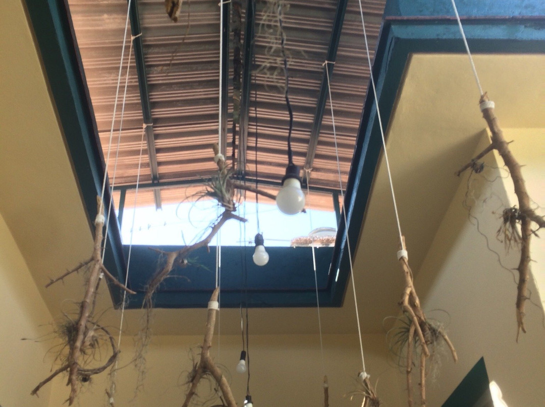 Hostal Dona Natalia主图