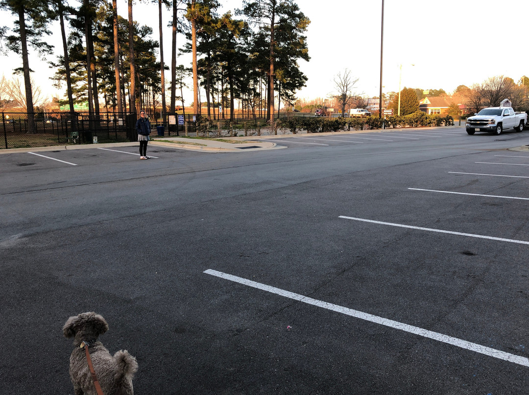 Hampton Inn Benson主图