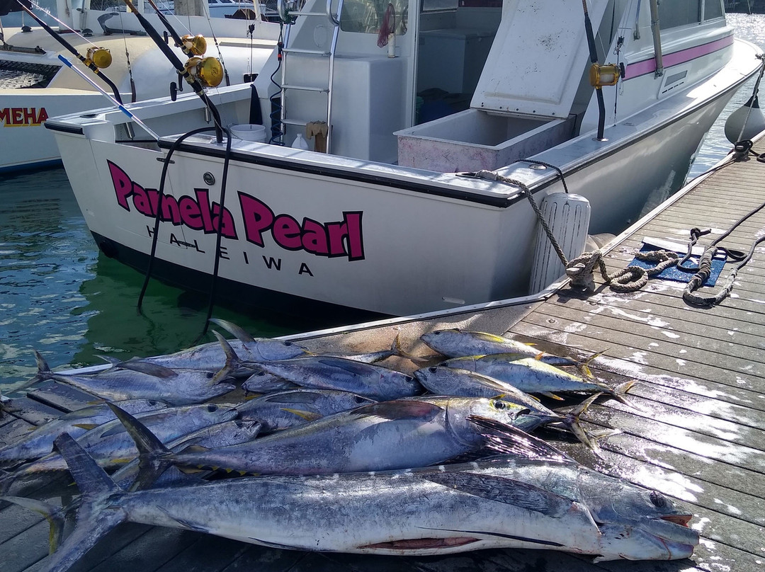 Pearl Fishing Oahu-哈雷瓦必去景点