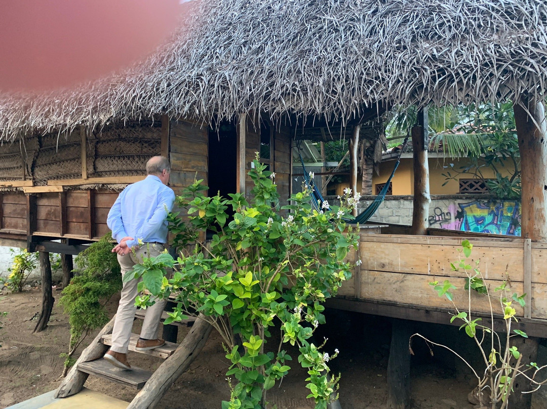 Arne's Place The Friendliest Hotel主图