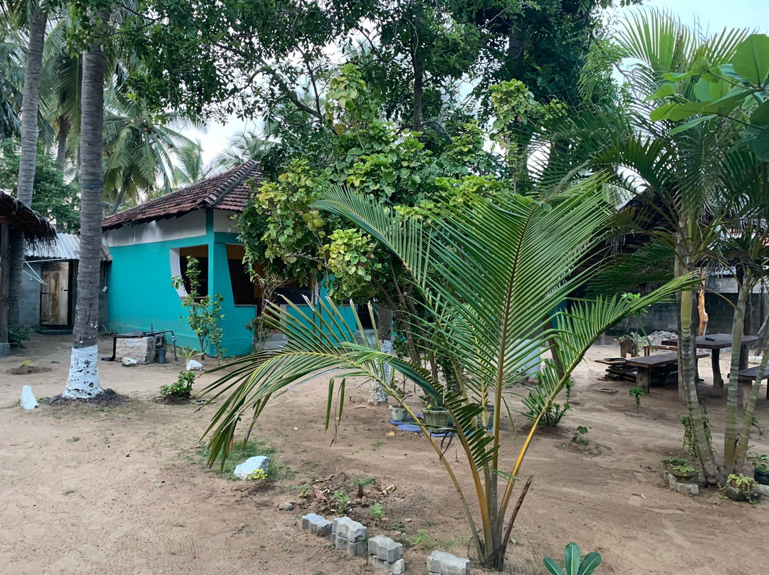 Arne's Place The Friendliest Hotel主图