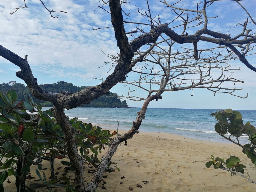 Wizard Beach景点图片