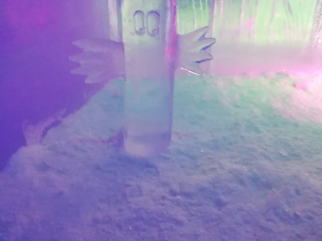 Moomin IceCave-Leppavirta必去景点
