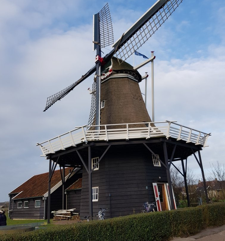 Koren- En Mosterdmolen de Verwachting景点图片