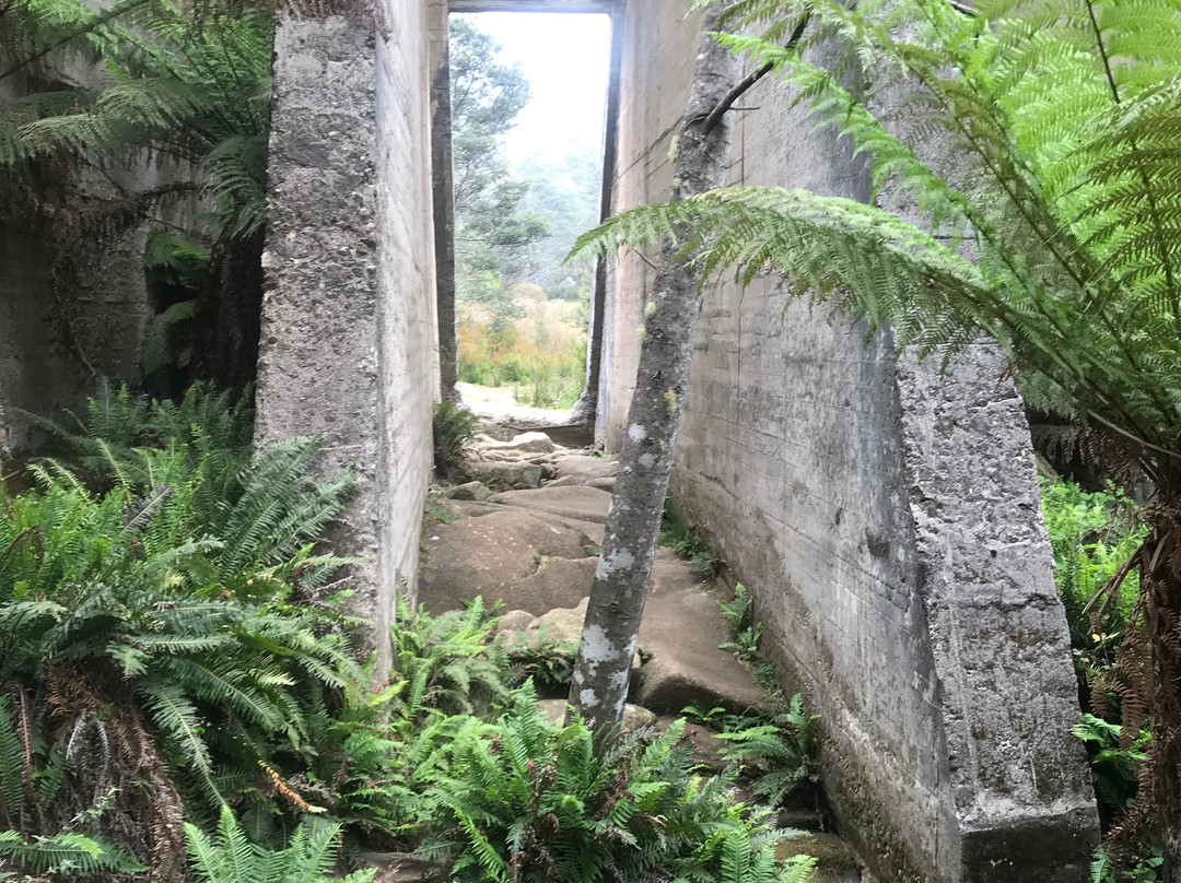 Mt Paris Dam-Branxholm必去景点