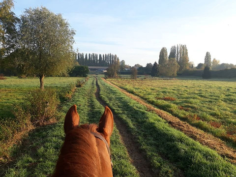 Centre Equestre le Comte-Hem必去景点