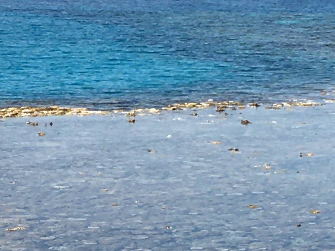 Egypt Sunmarine-赫尔格达必去景点