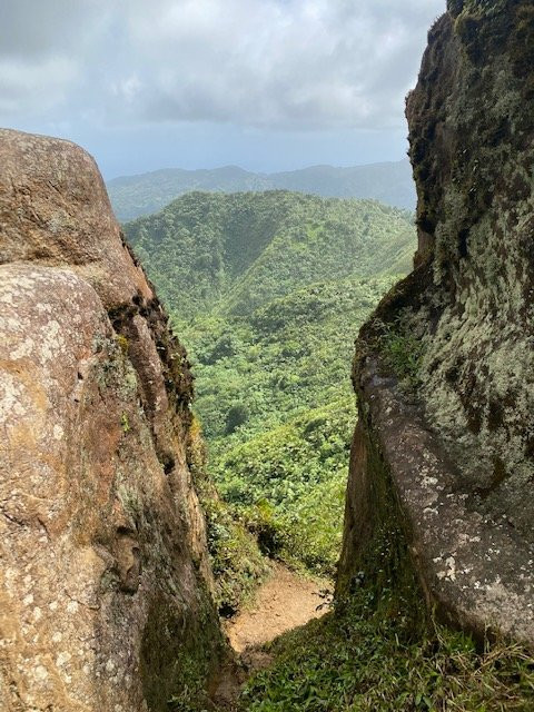 Tropical Adventures景点图片