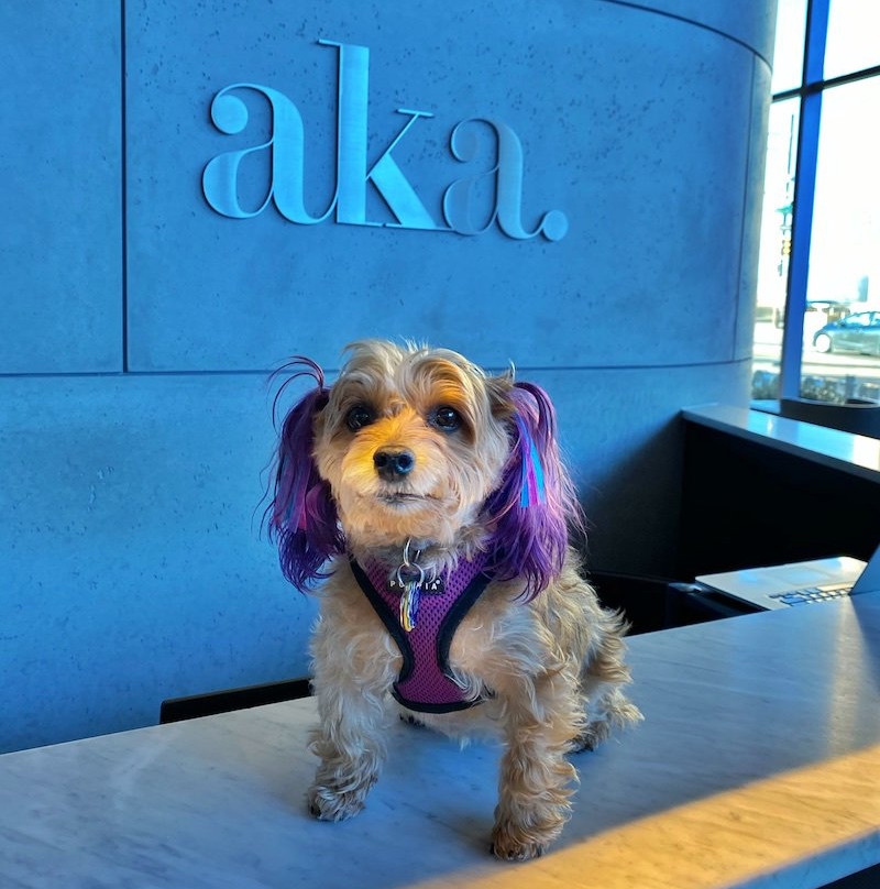 AKA University City主图