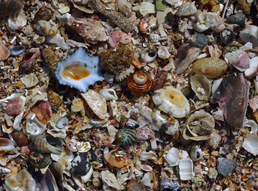 Coffee Bay Beach-Coffee Bay必去景点