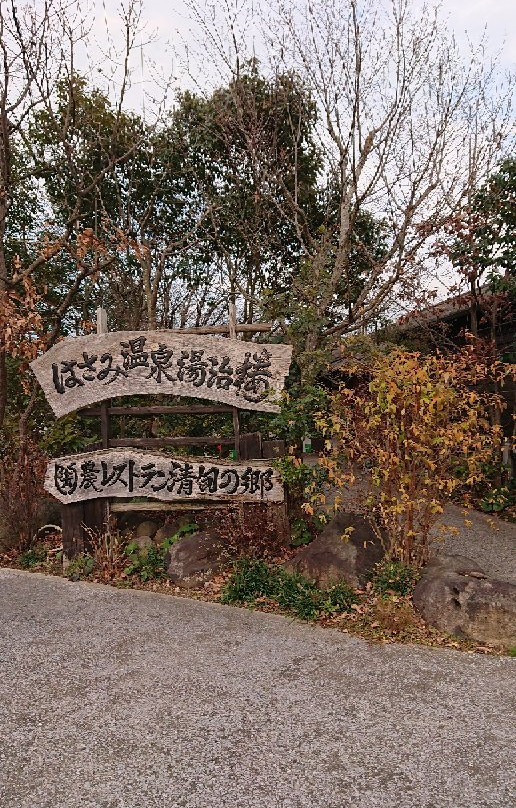 Hasamionsen Tojiro主图