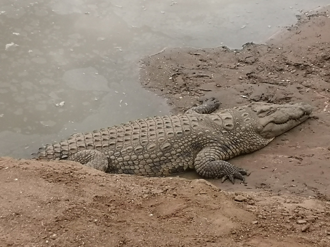 Erindi Game Reserve-Omaruru必去景点