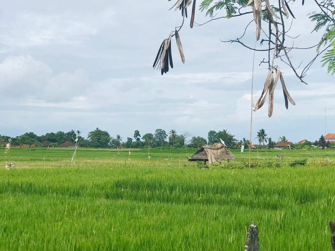 Bali Fat Bike Cycling-达巴南必去景点