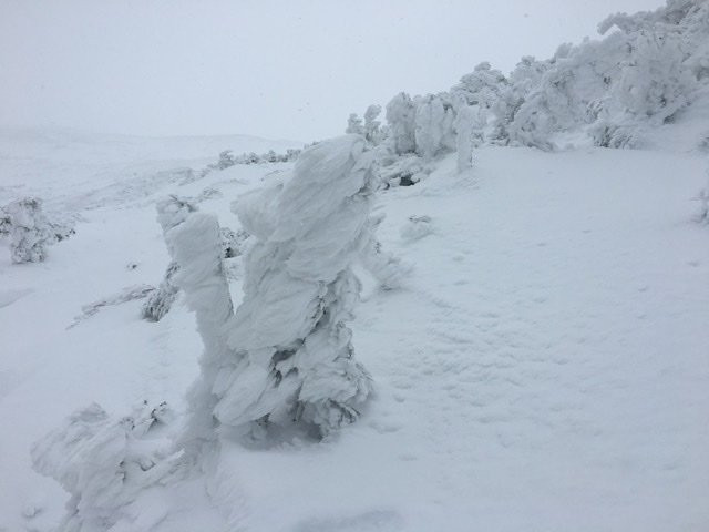 North Ridge Mountain Guides景点图片