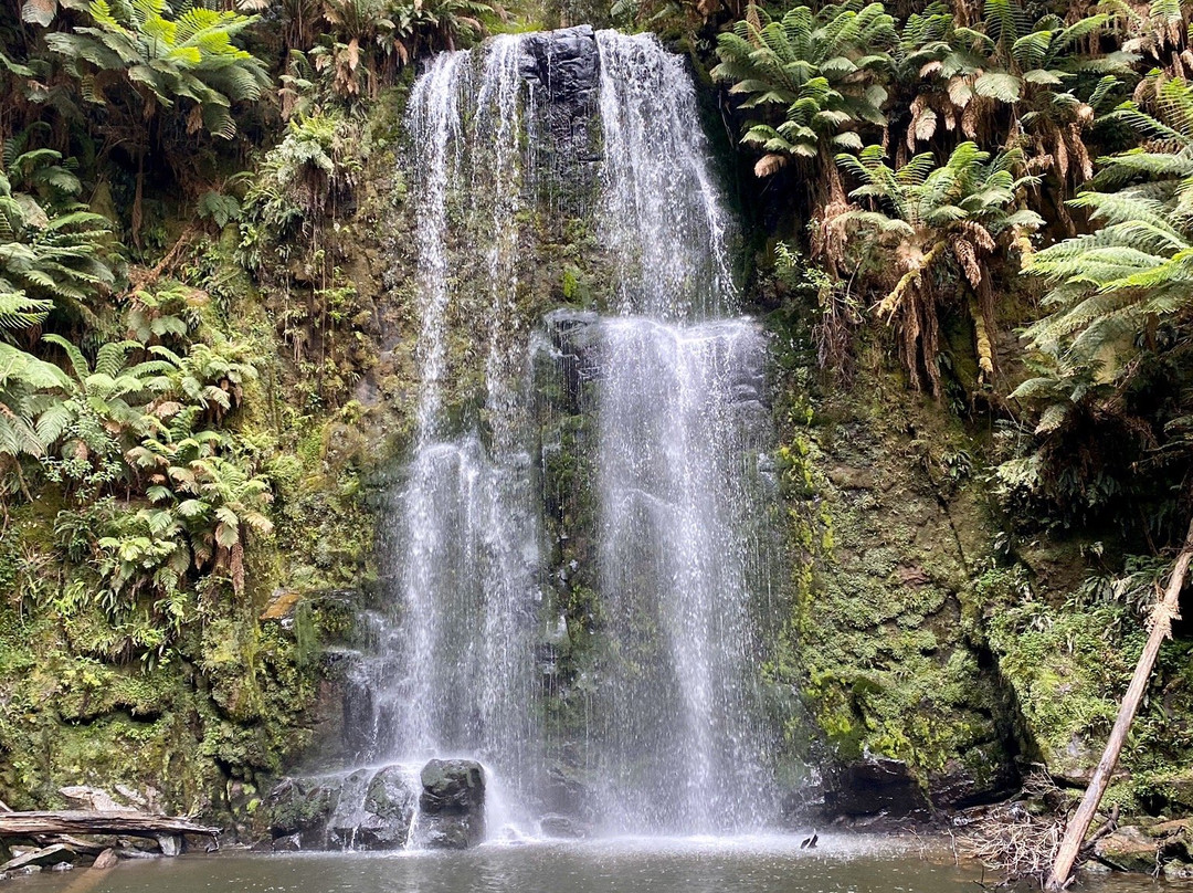Beauchamp Falls-Beech Forest必去景点