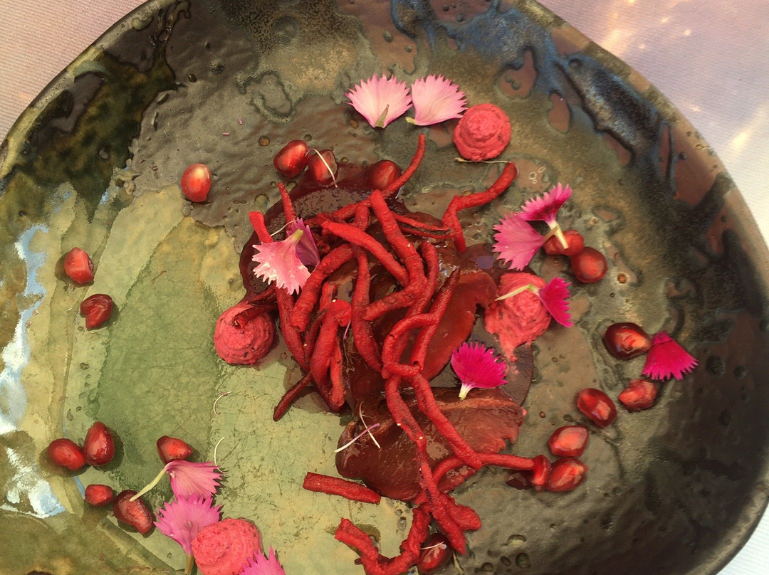 Creation-赫曼努斯必去景点