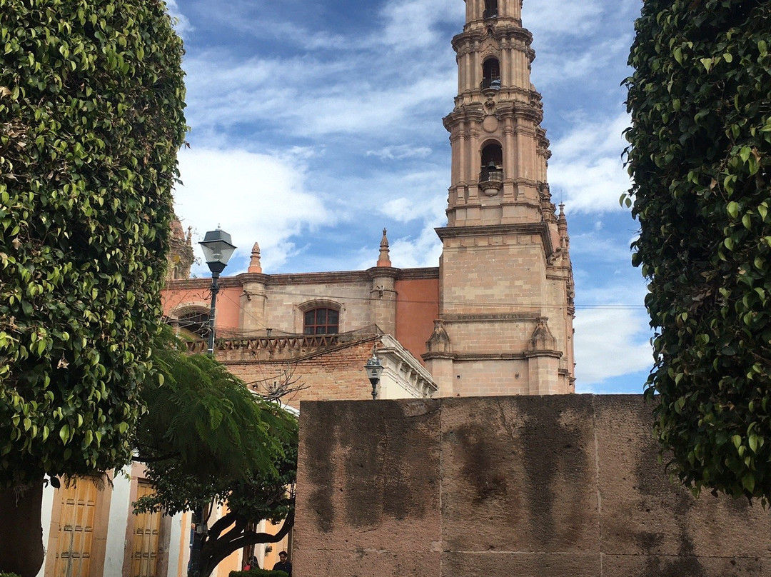 Centro Historico de Lagos de Moreno景点图片