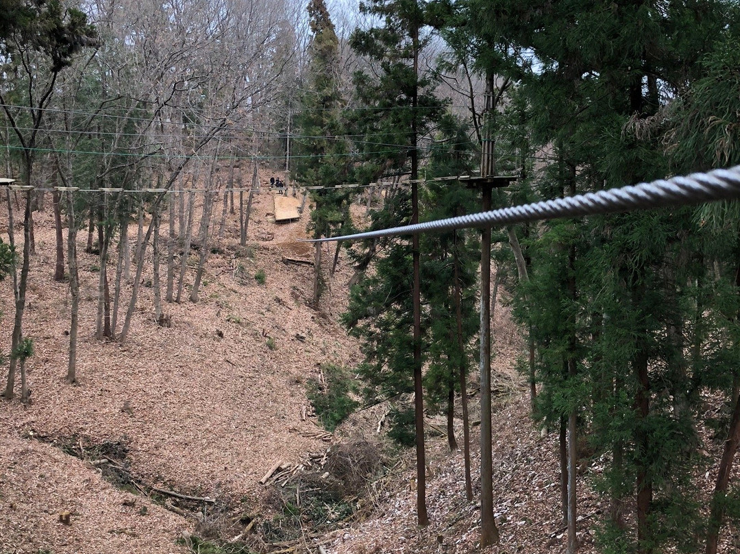 Forest Adventure Chichibu-秩父市必去景点