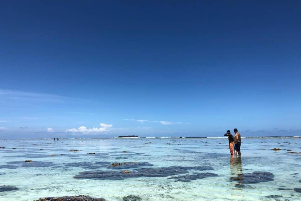 Zanzibar tours by Juma-Matemwe必去景点