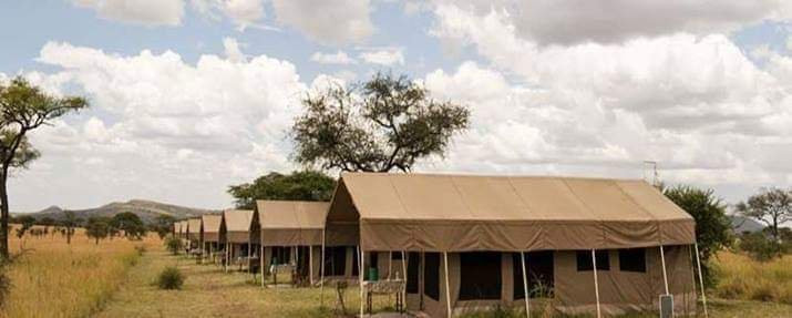 Tail Spotter Safari-莫洛哥罗必去景点