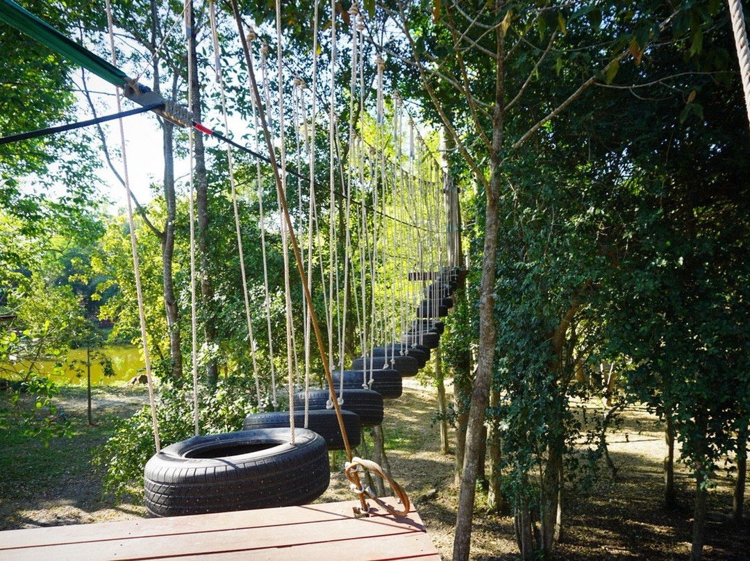 Tree Top Adventure Park-华欣必去景点