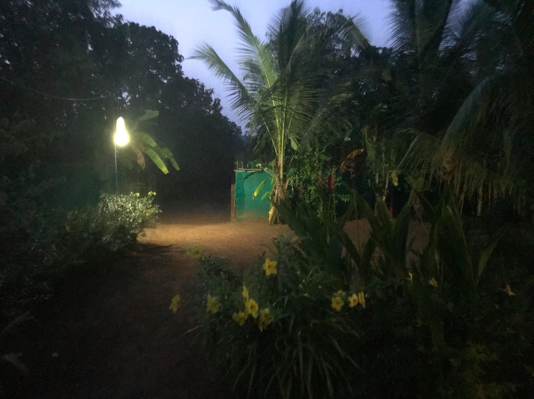 Dhuri Homestays主图