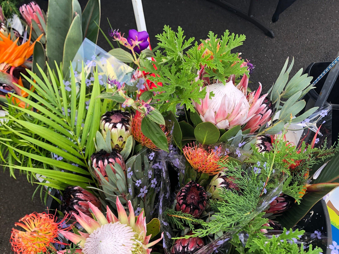 Upcountry Farmers Market-普卡兰尼必去景点