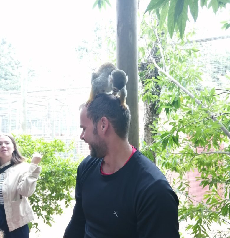 Monkey Town Primate Centre-西索美塞必去景点