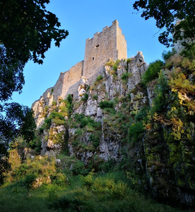 Burg Weissenstein景点图片