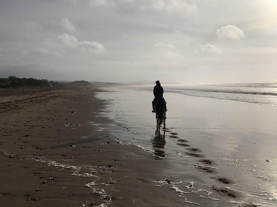 Zouina Cheval-索维拉必去景点