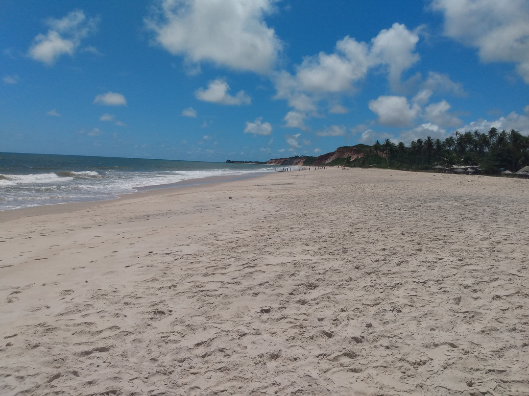 Praia Lucena景点图片