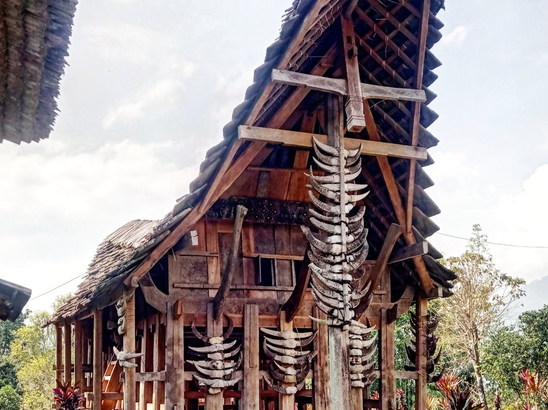 Ino Toraja Guide景点图片
