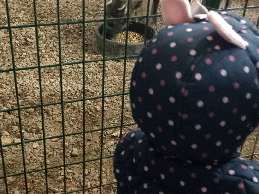 Snowman's Reindeer Farm