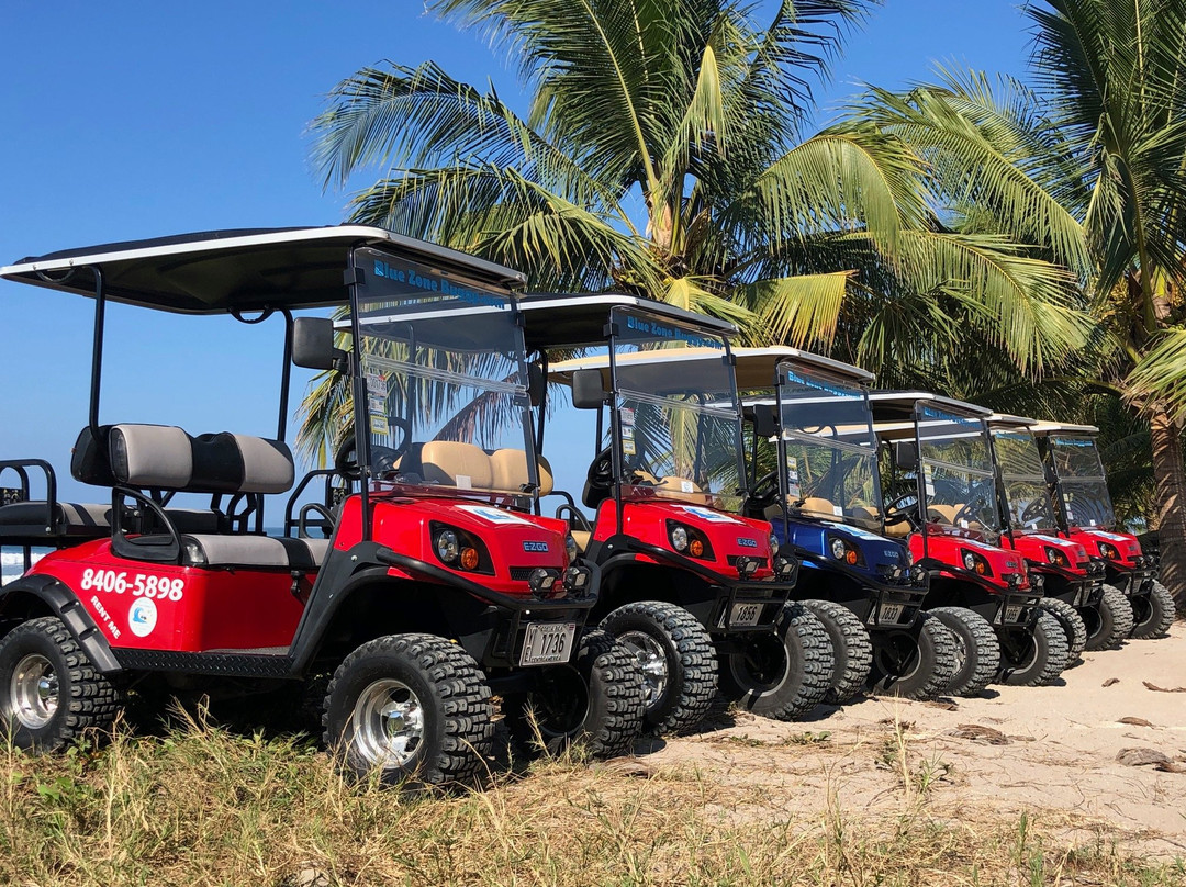 Buggy Blue - Quad And Golf Cart Rentals景点图片