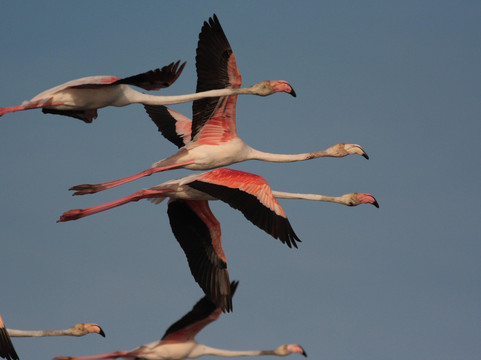 Sustainable Travels-奥良必去景点