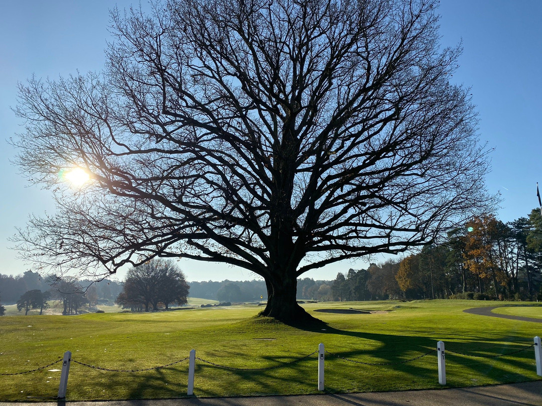 Sunningdale Golf Club景点图片