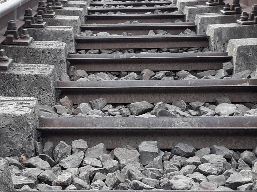 MileStone Tour Operator-都灵必去景点