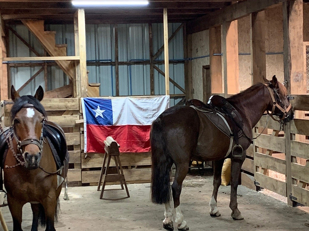 Centro Ecuestre San Pedro-Curarrehue必去景点