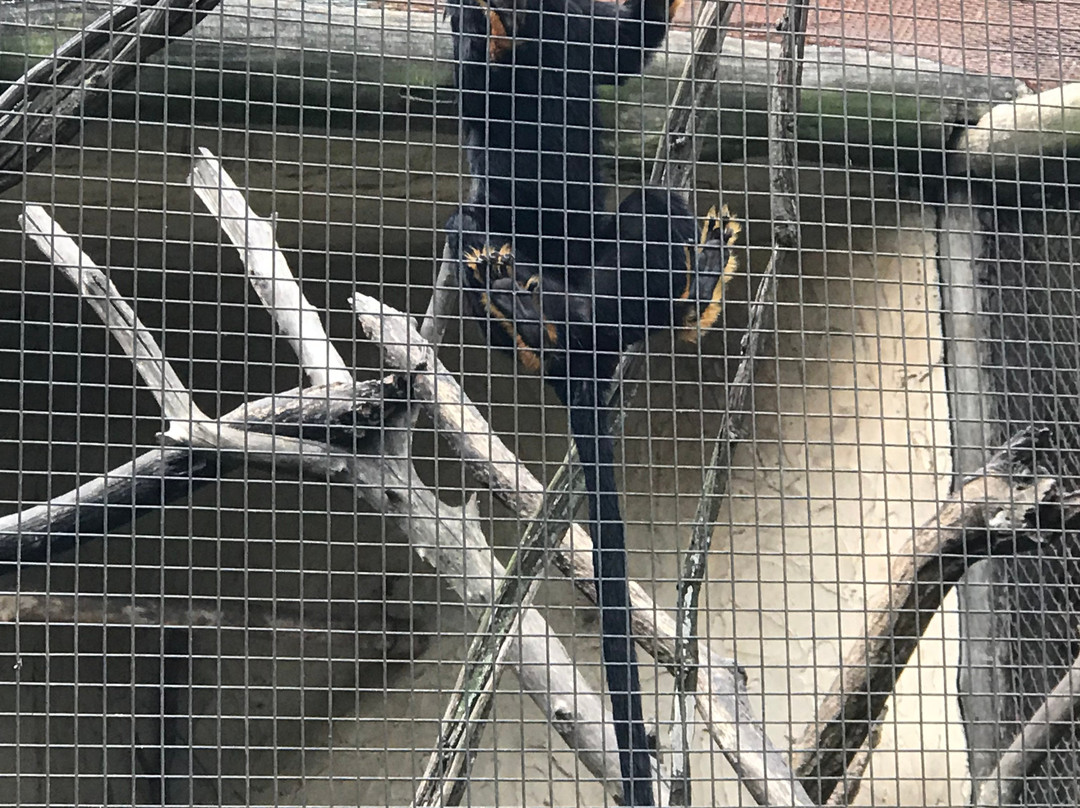 Parque Ecológico de São Carlos-Sao Carlos必去景点